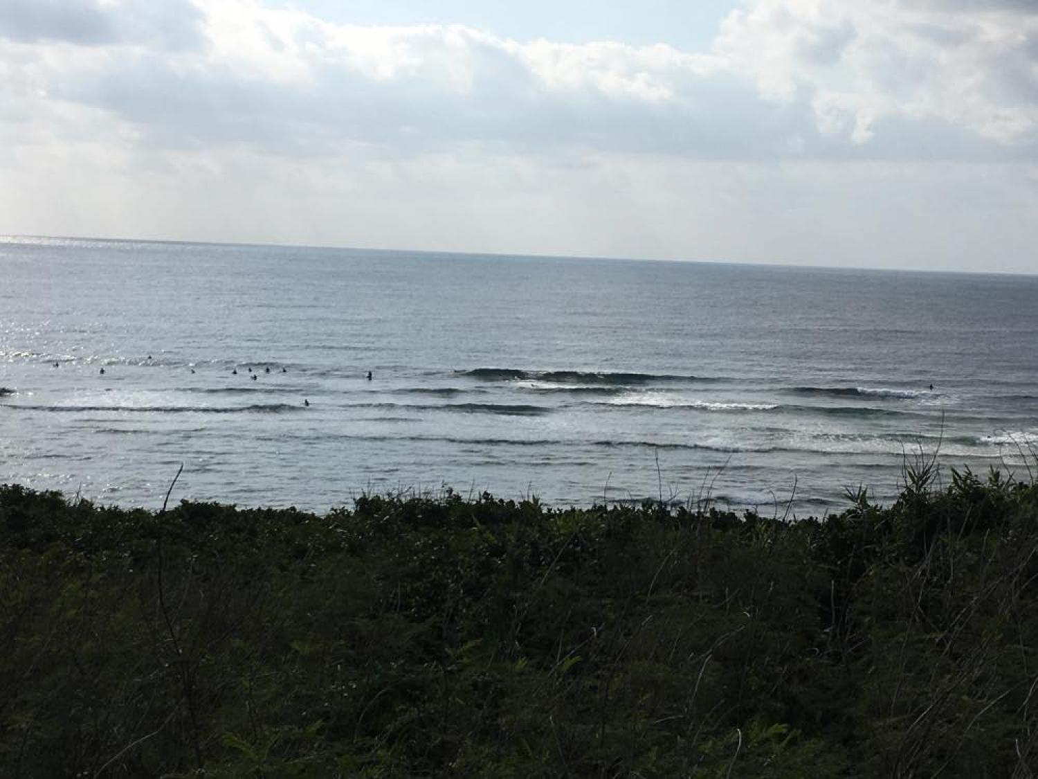 feb 18 suicide point wave information 4