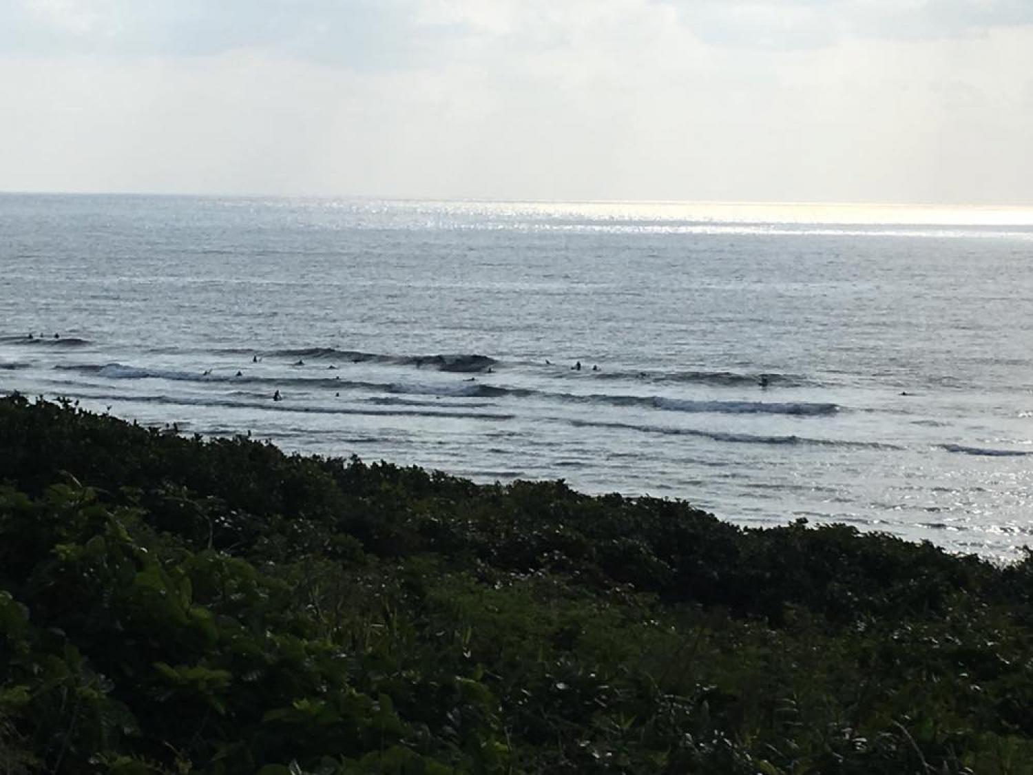 feb 18 suicide point wave information 5