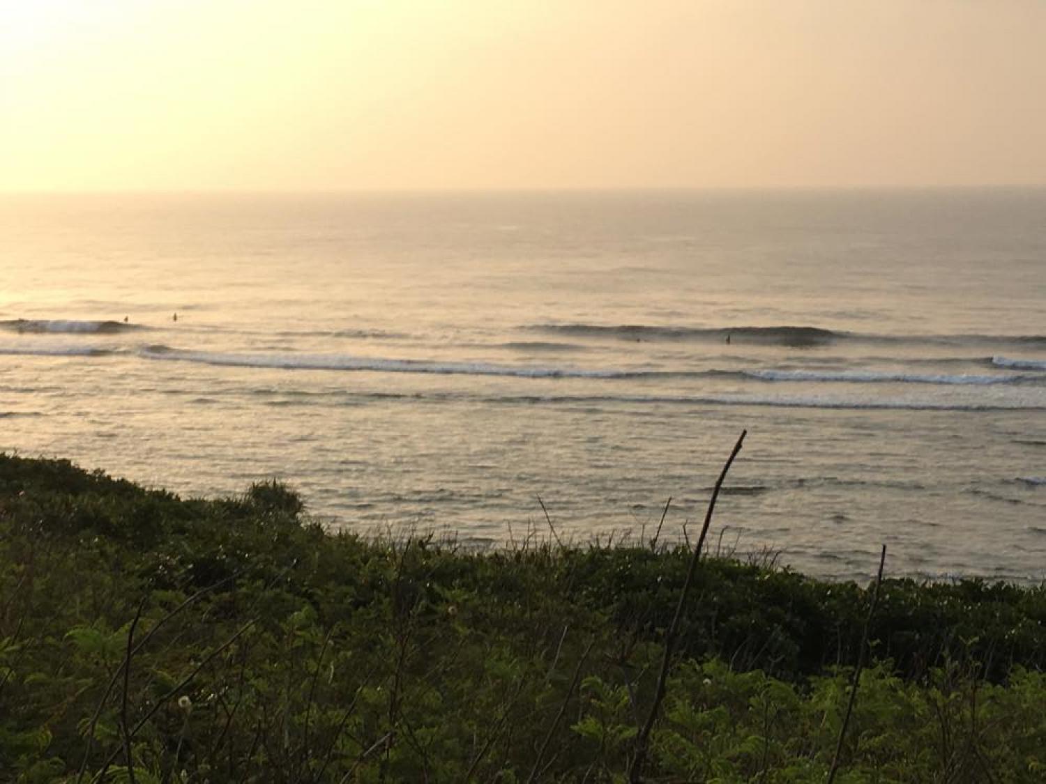 feb 20 suicide point wave information 2