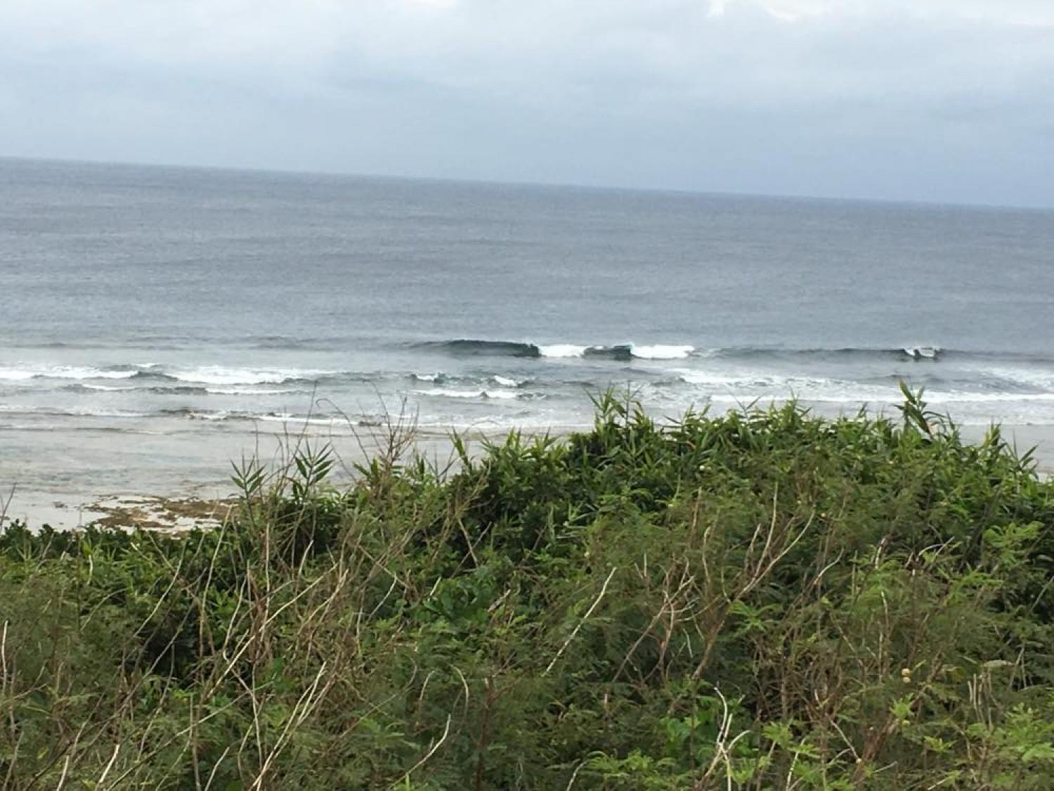 feb 23 suicide point wave information 4