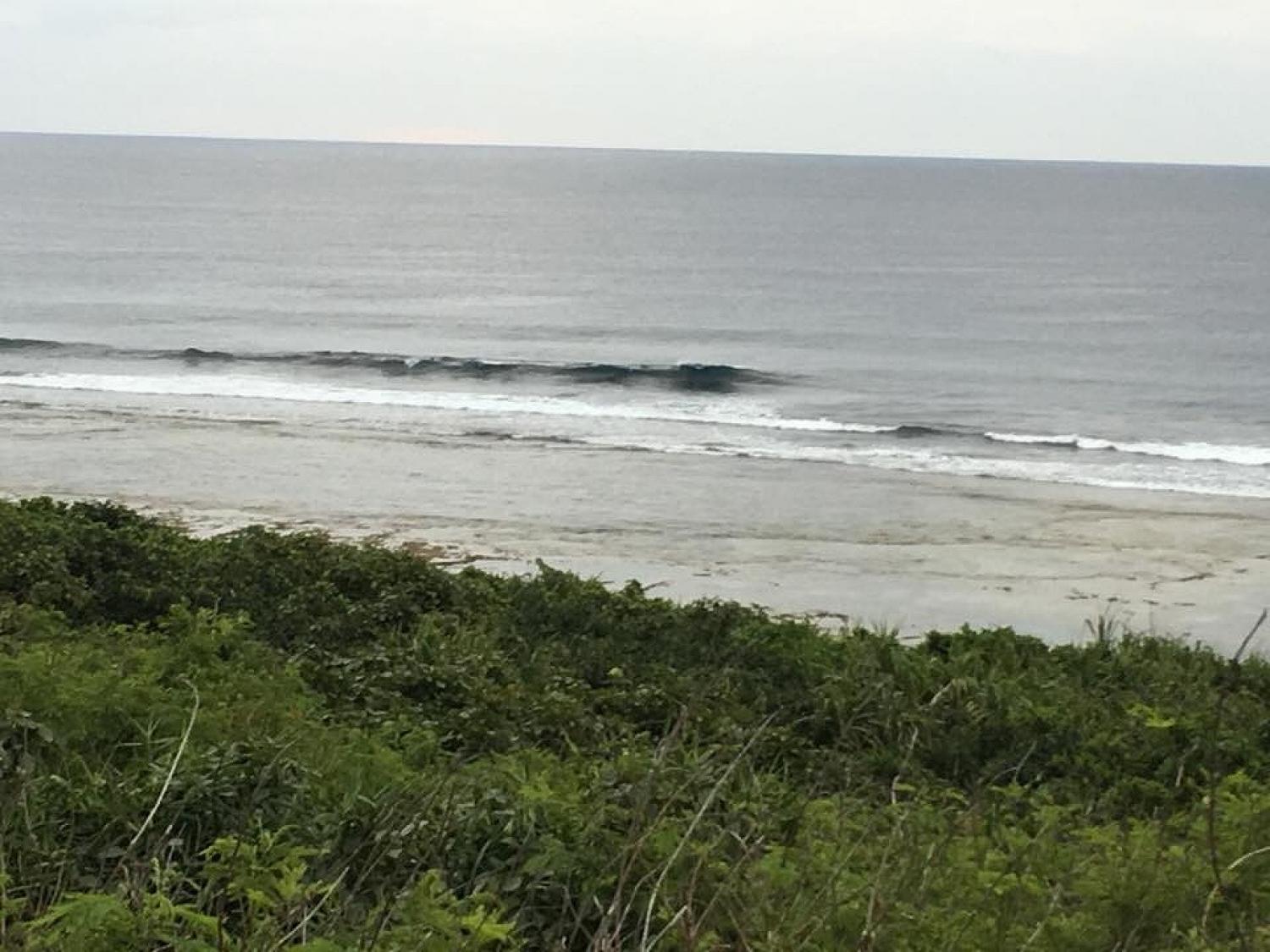 mar 12 suicide point wave information 2