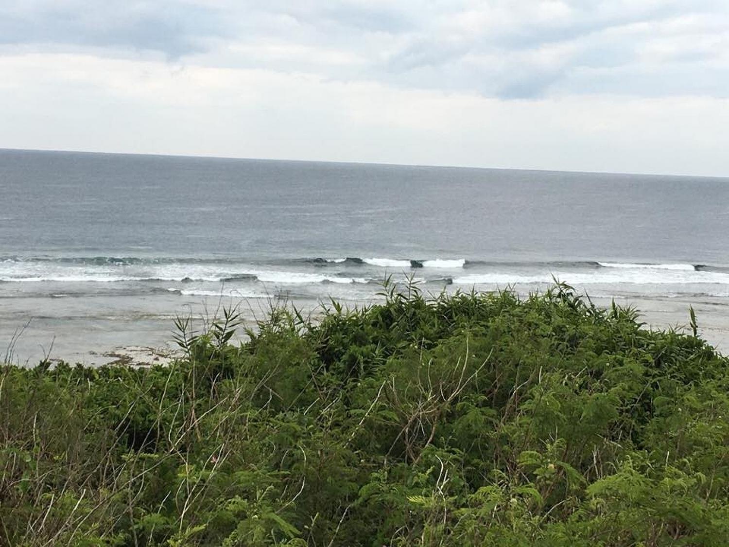 mar 12 suicide point wave information 3