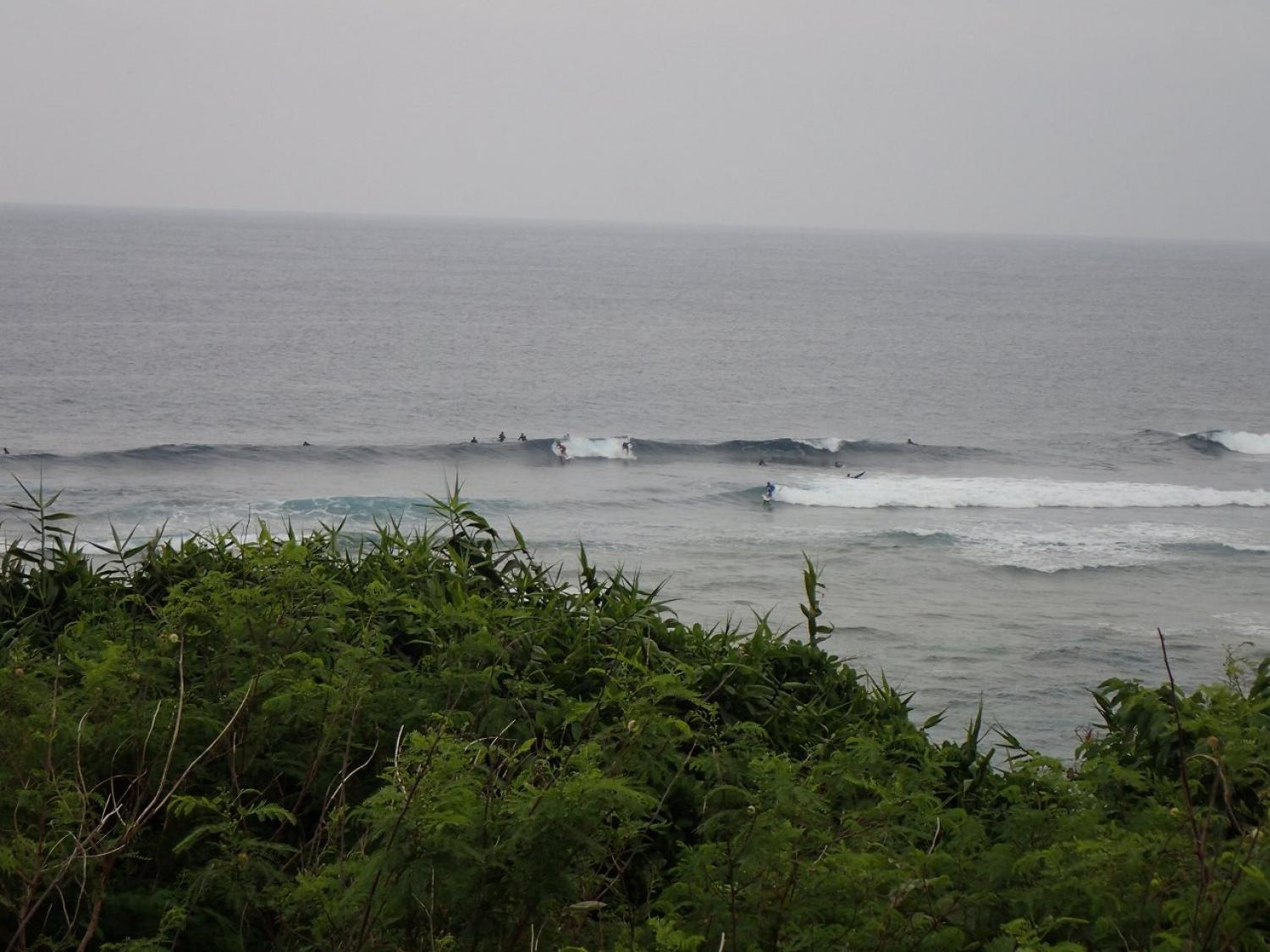 mar 17 suicide point wave information 5