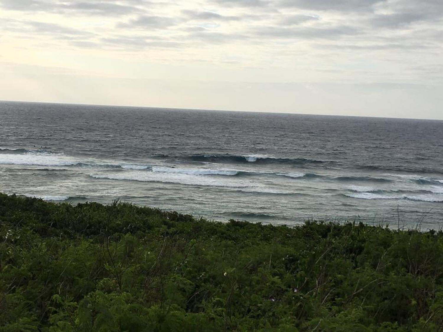 mar 18 suicide point wave information 2