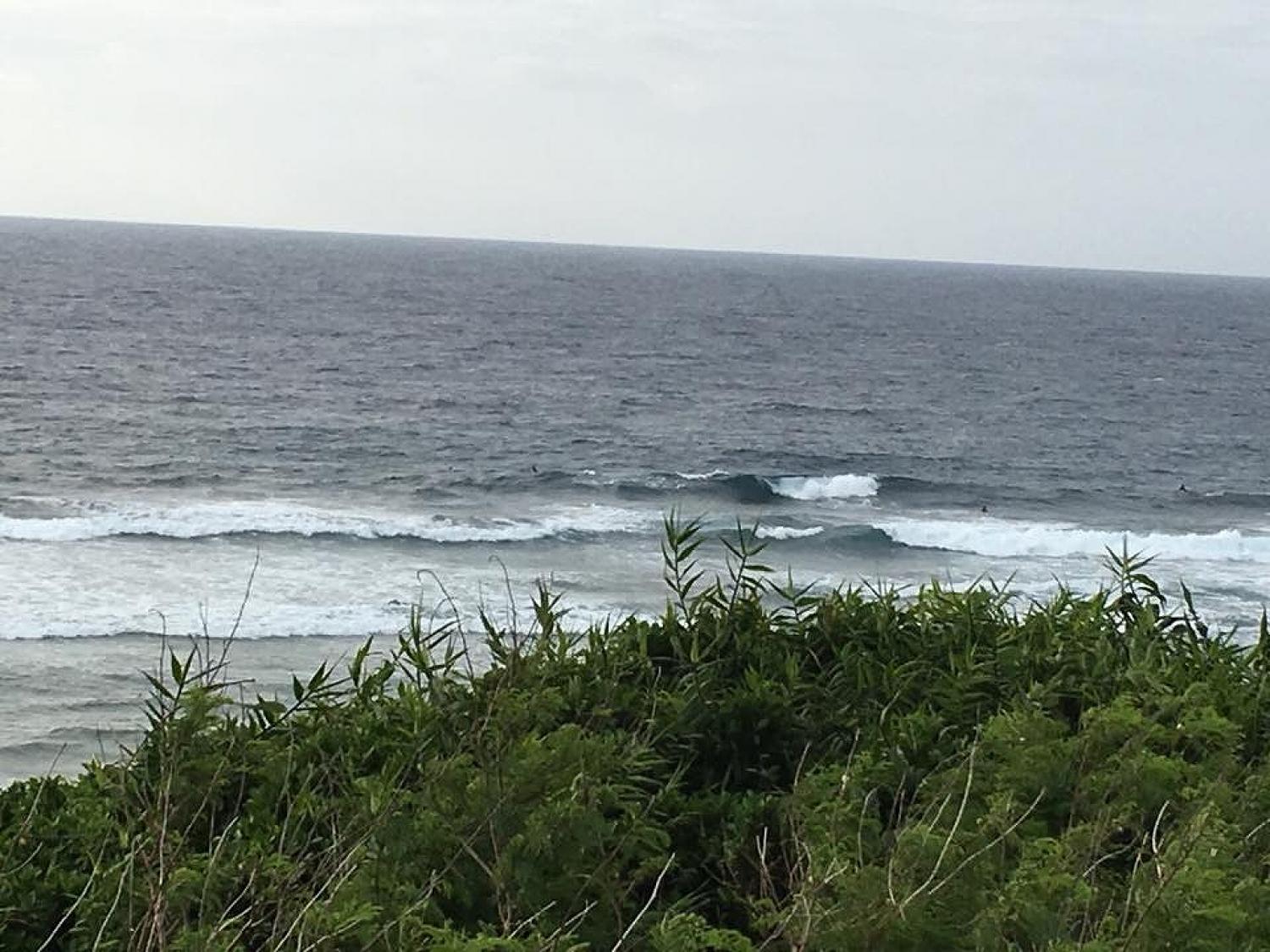 mar 18 suicide point wave information 4
