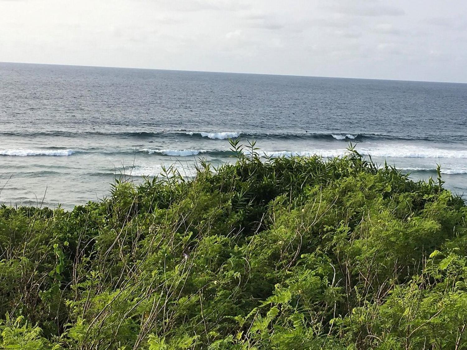 mar 19 suicide point wave information 1