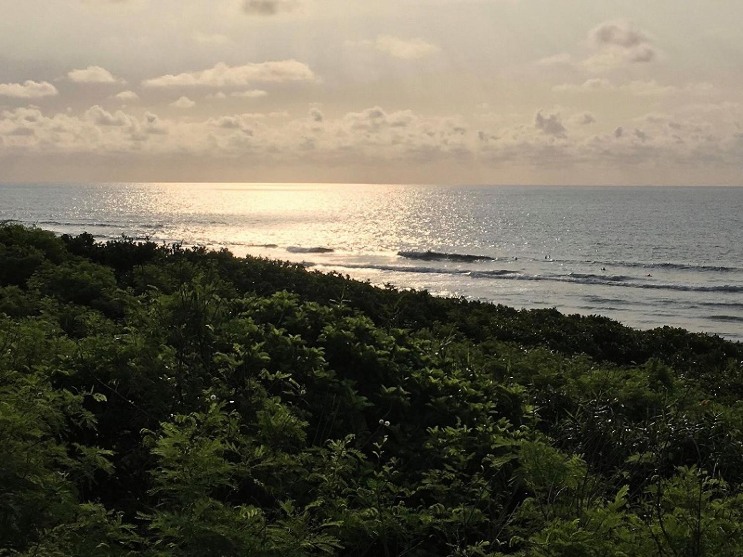 mar 19 suicide point wave information 2