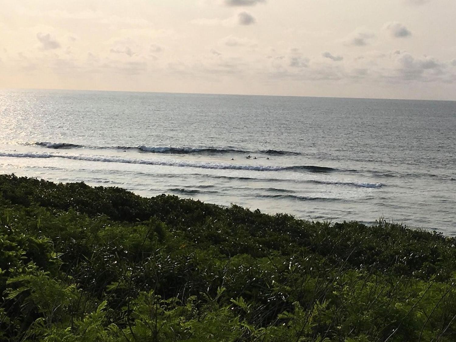 mar 19 suicide point wave information 3