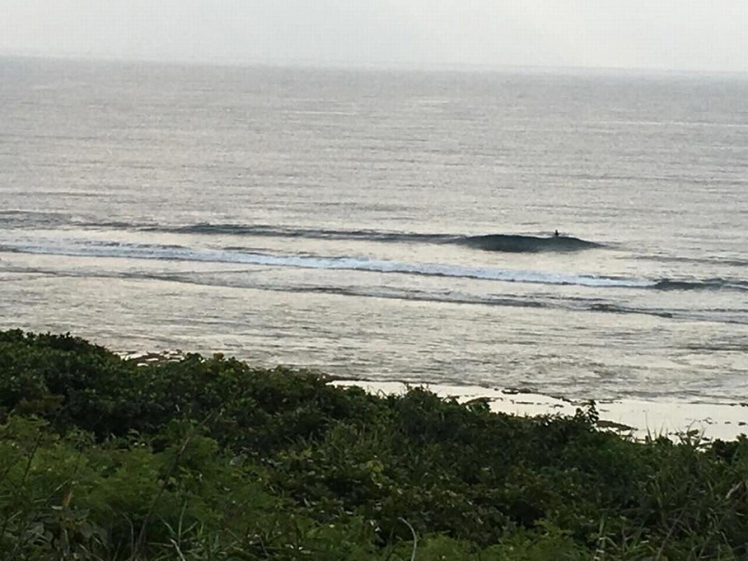 mar 25 suicide point wave information 1