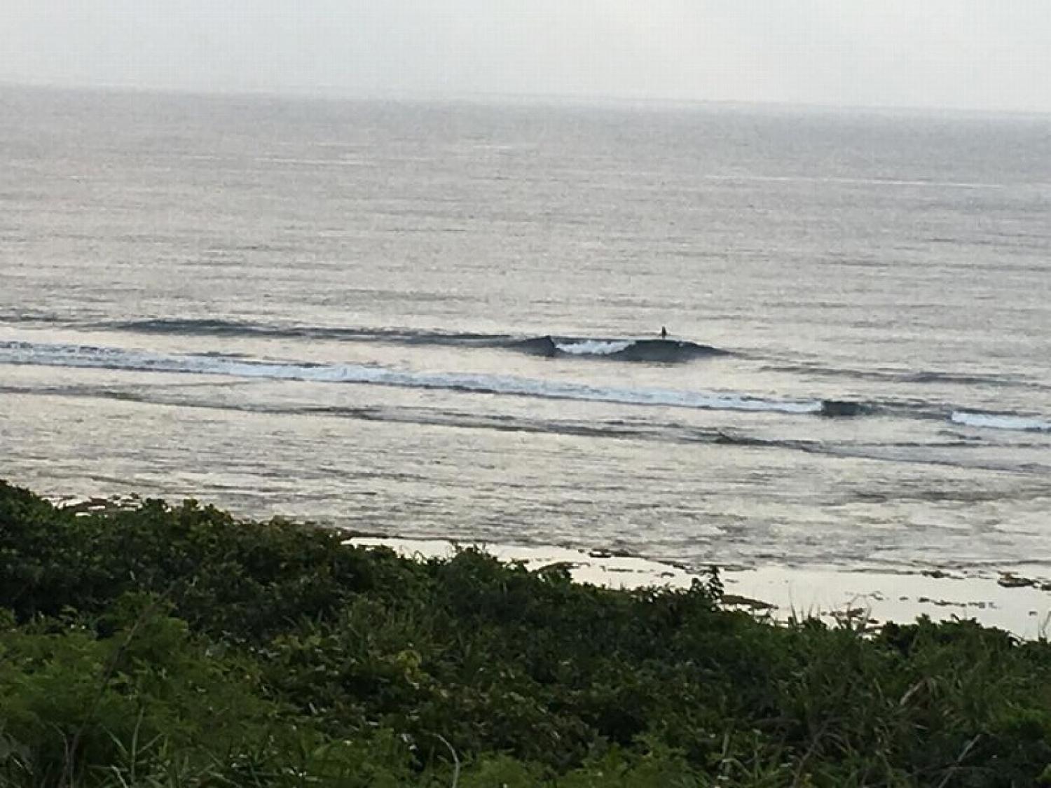 mar 25 suicide point wave information 2