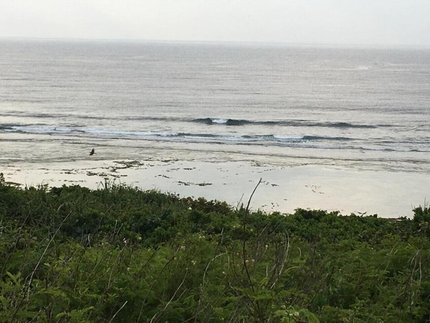 mar 25 suicide point wave information 3
