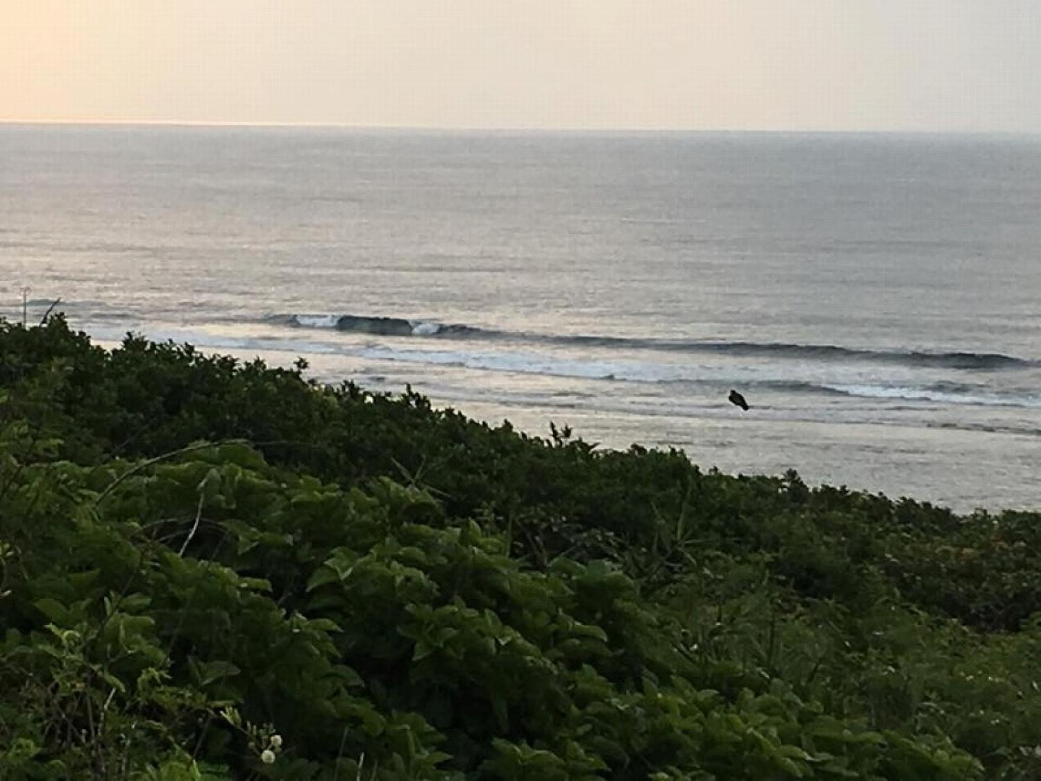mar 25 suicide point wave information 4