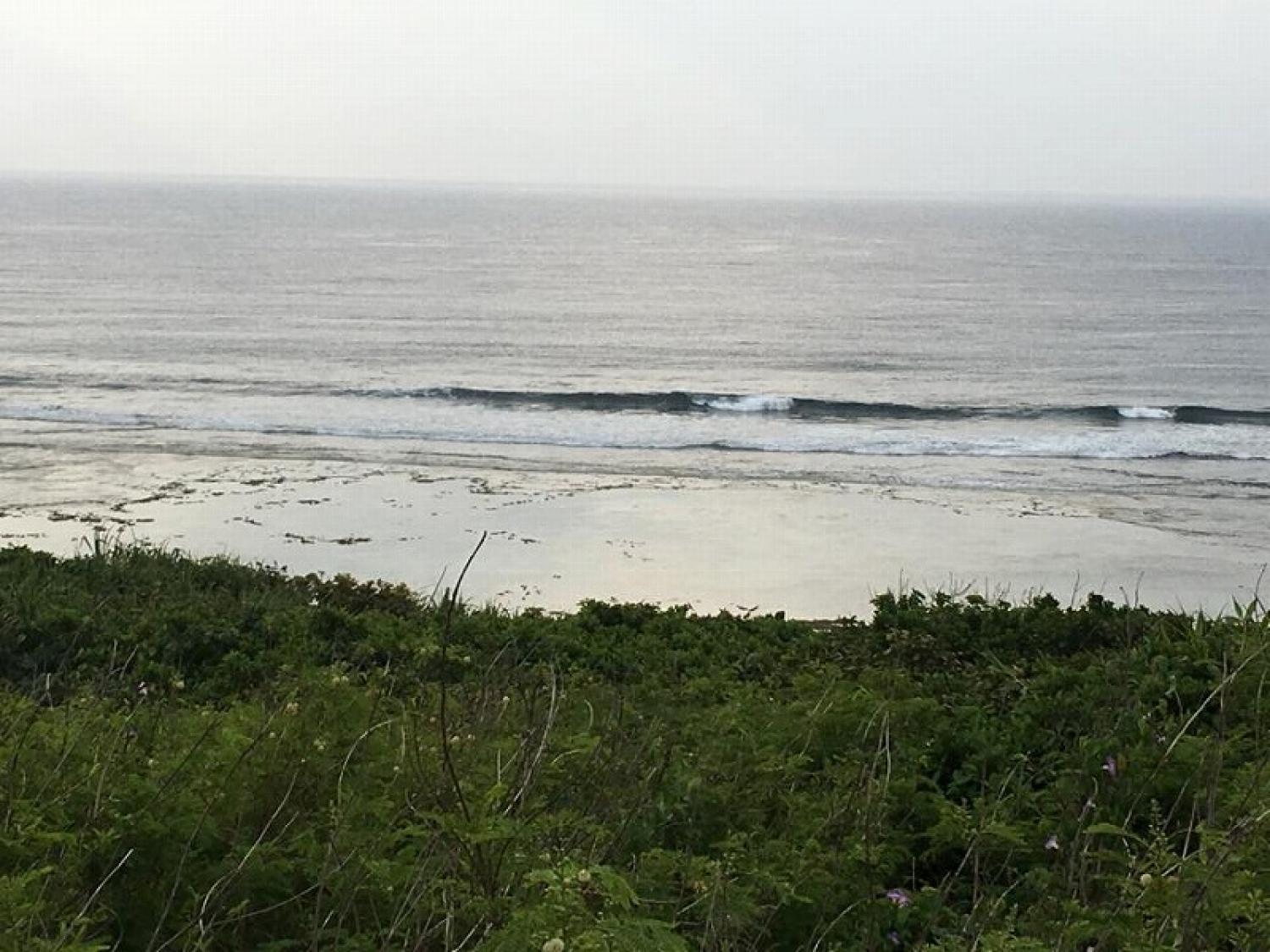 mar 25 suicide point wave information 5
