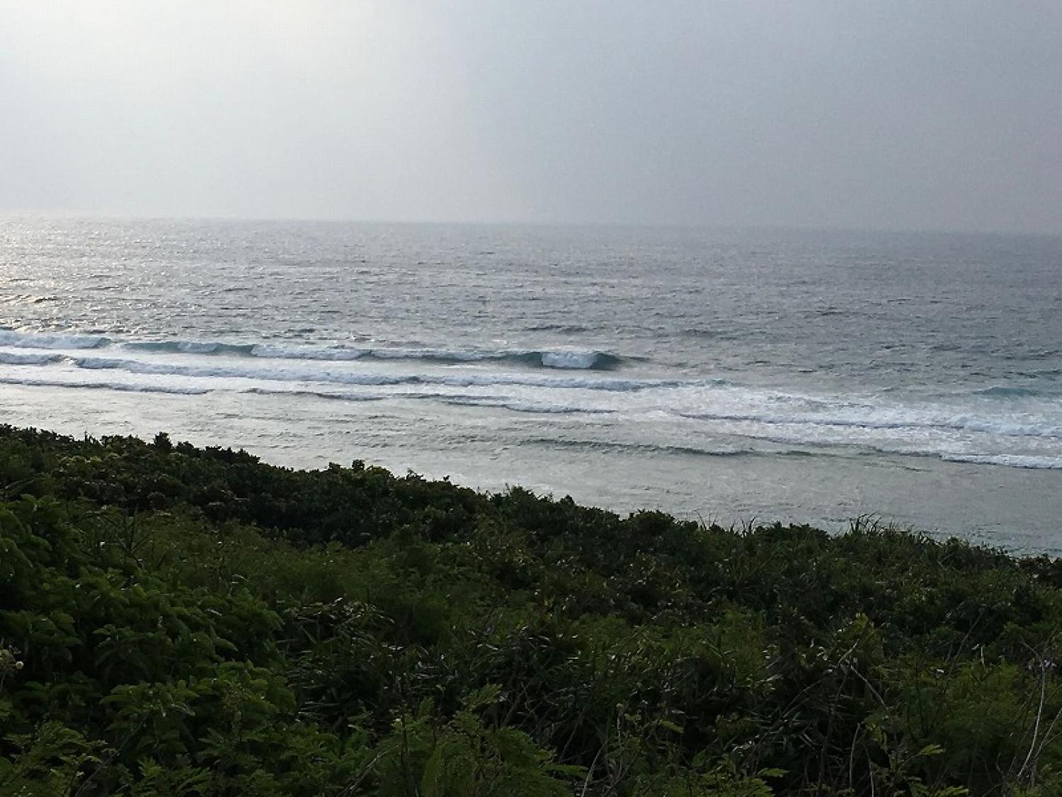 mar 31 suicide point wave information 1