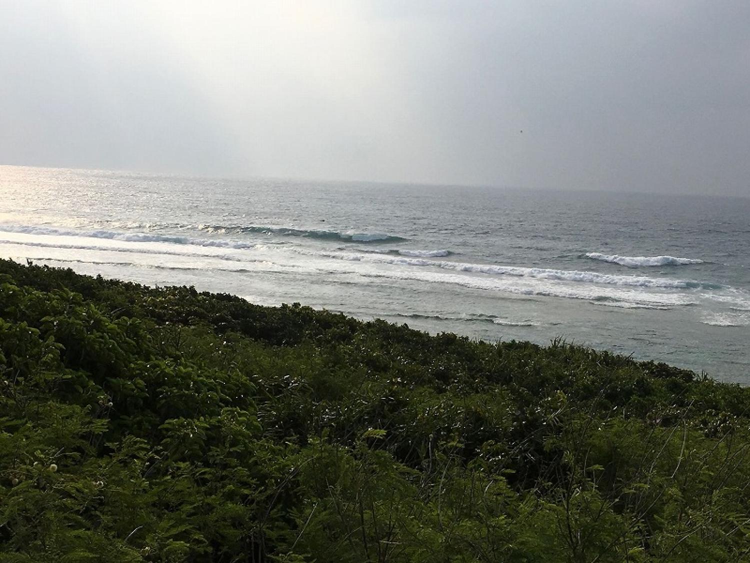 mar 31 suicide point wave information 2