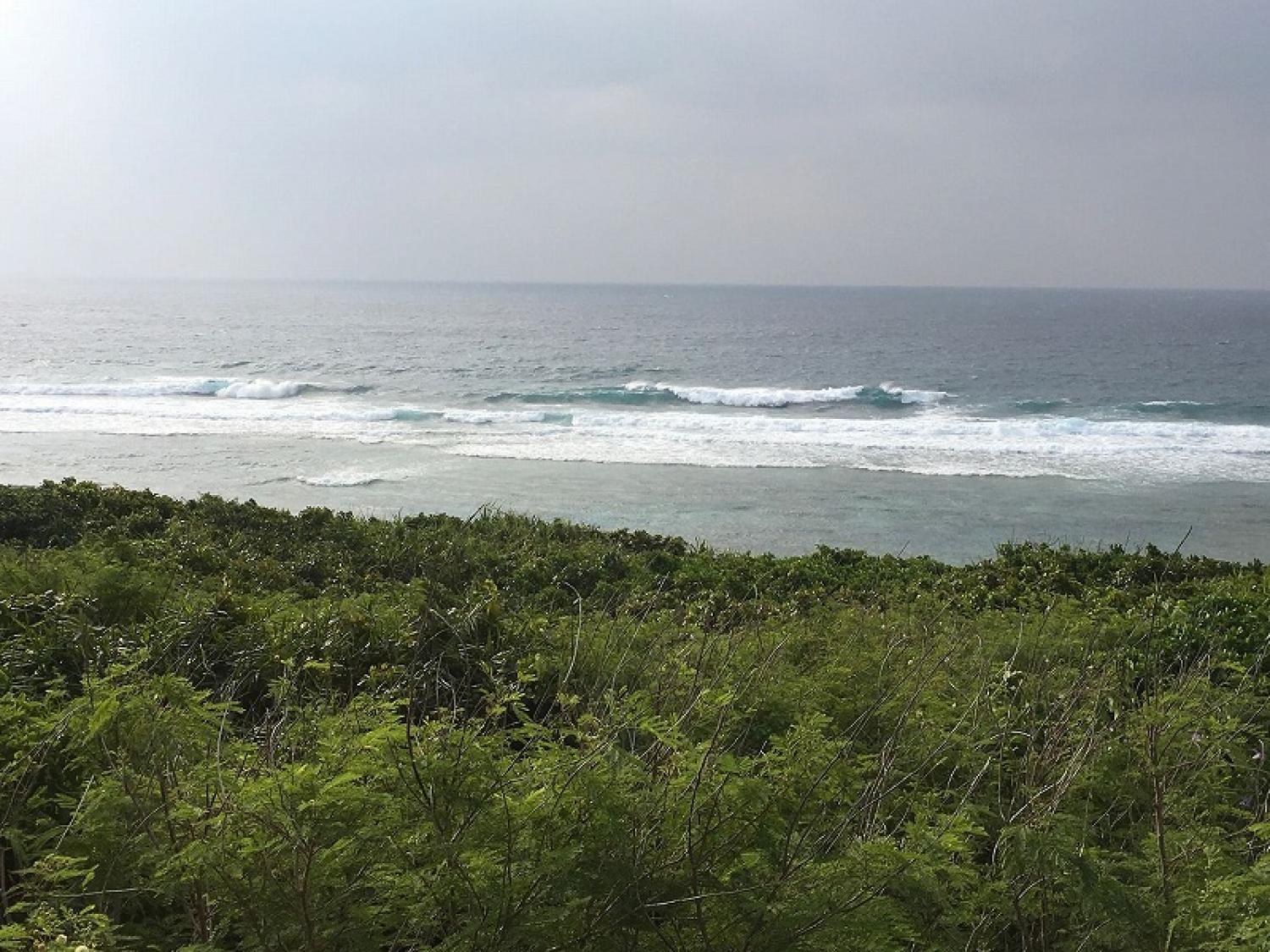 mar 31 suicide point wave information 3