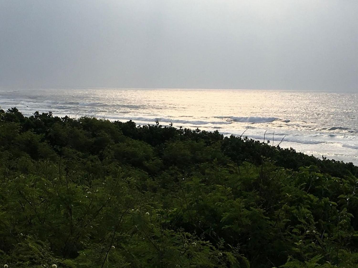 mar 31 suicide point wave information 4