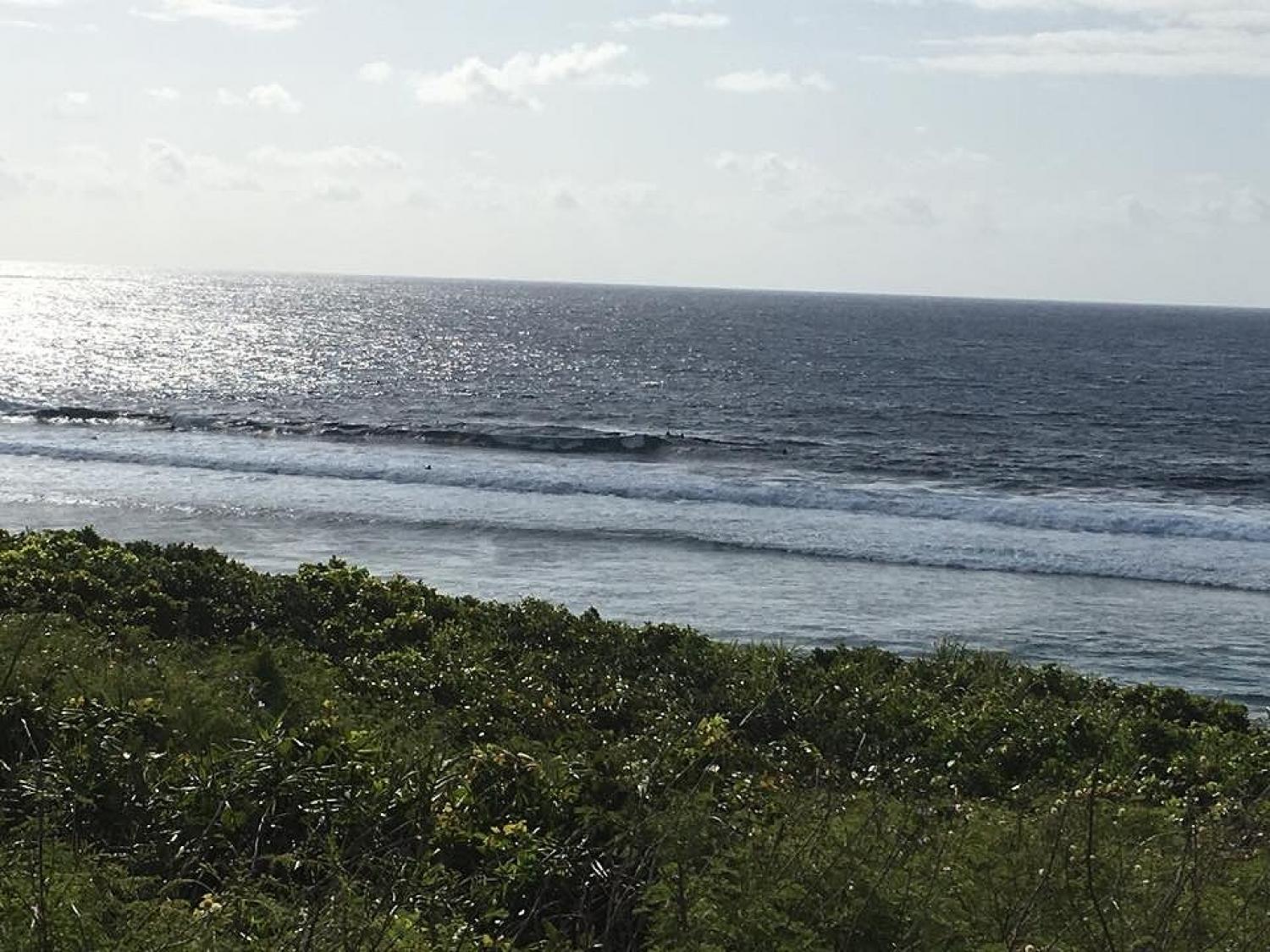April 3 suicide point wave information 4