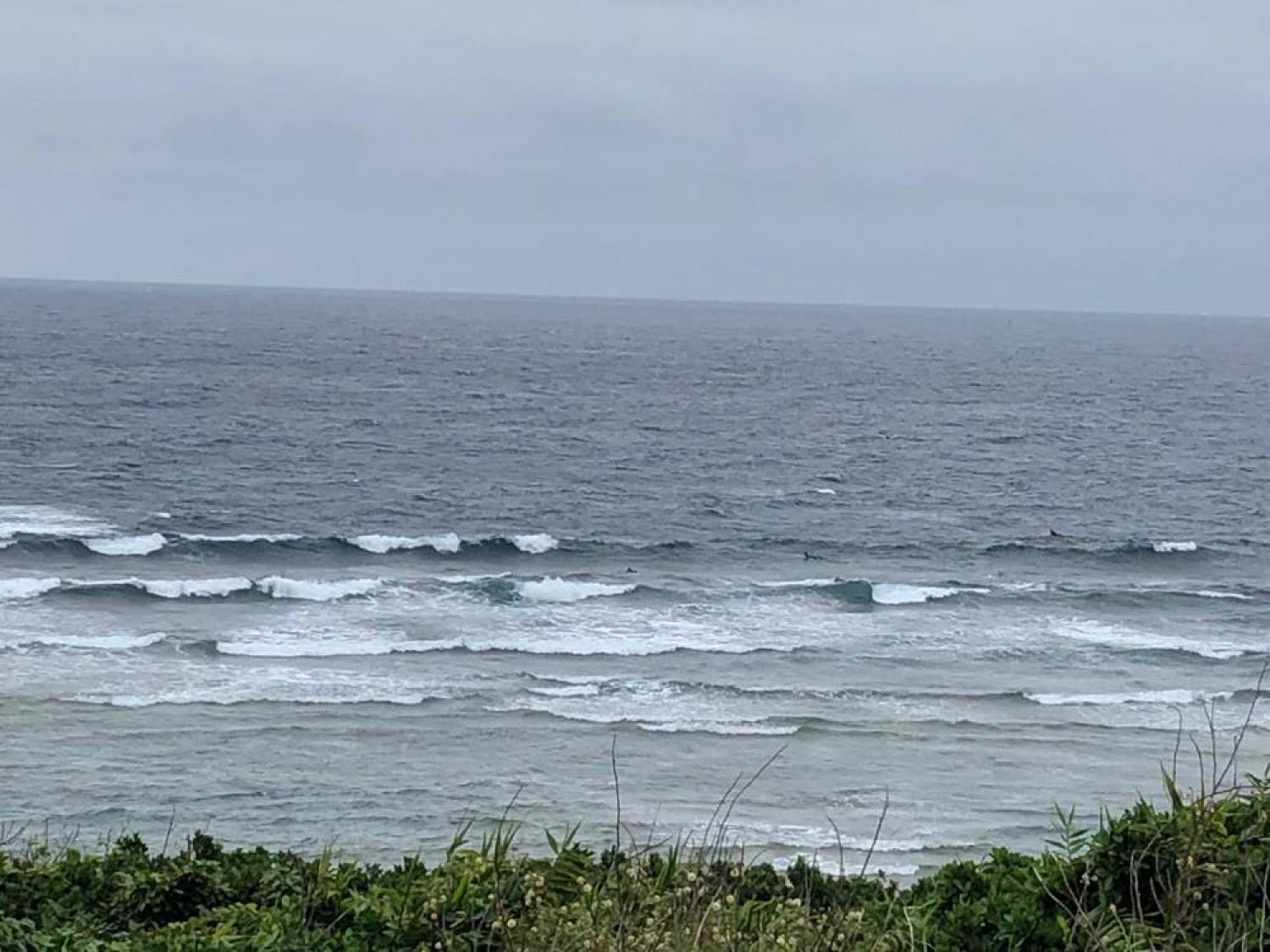 21th April suicide point wave information 4