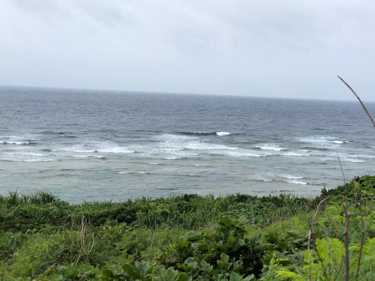 19th June suicide point wave information 1