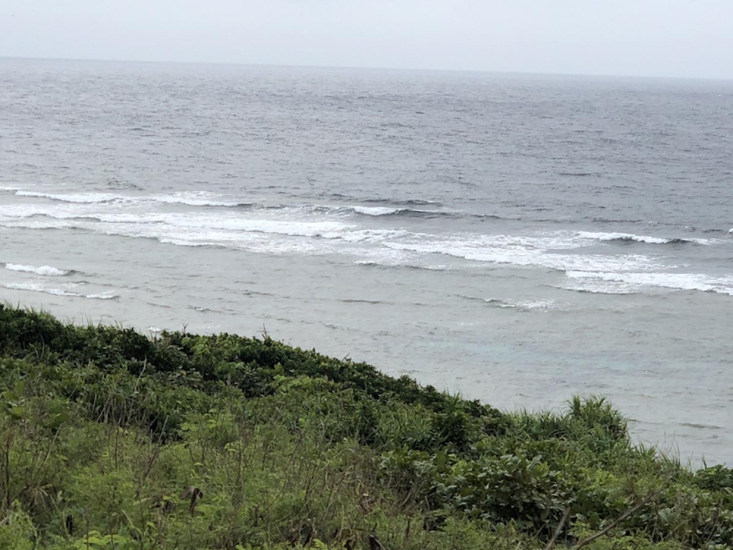19th June suicide point wave information 2