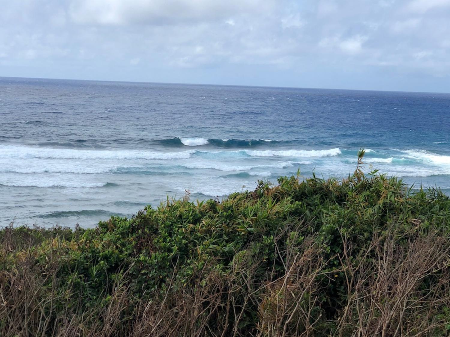 17th July suicide point wave information 2