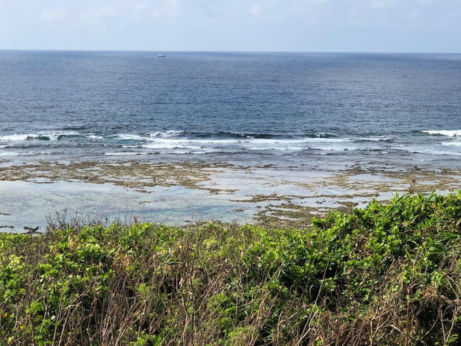 24th July suicide point wave information 3