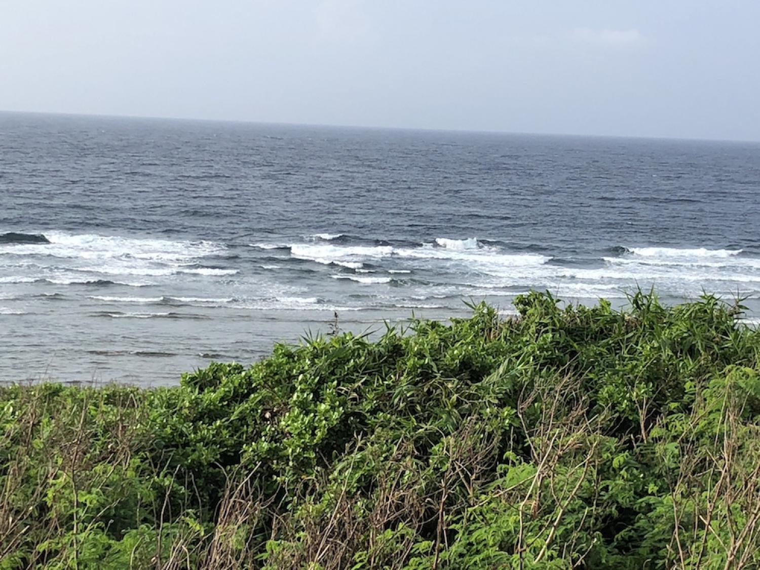 3th Aug suicide point wave information 1