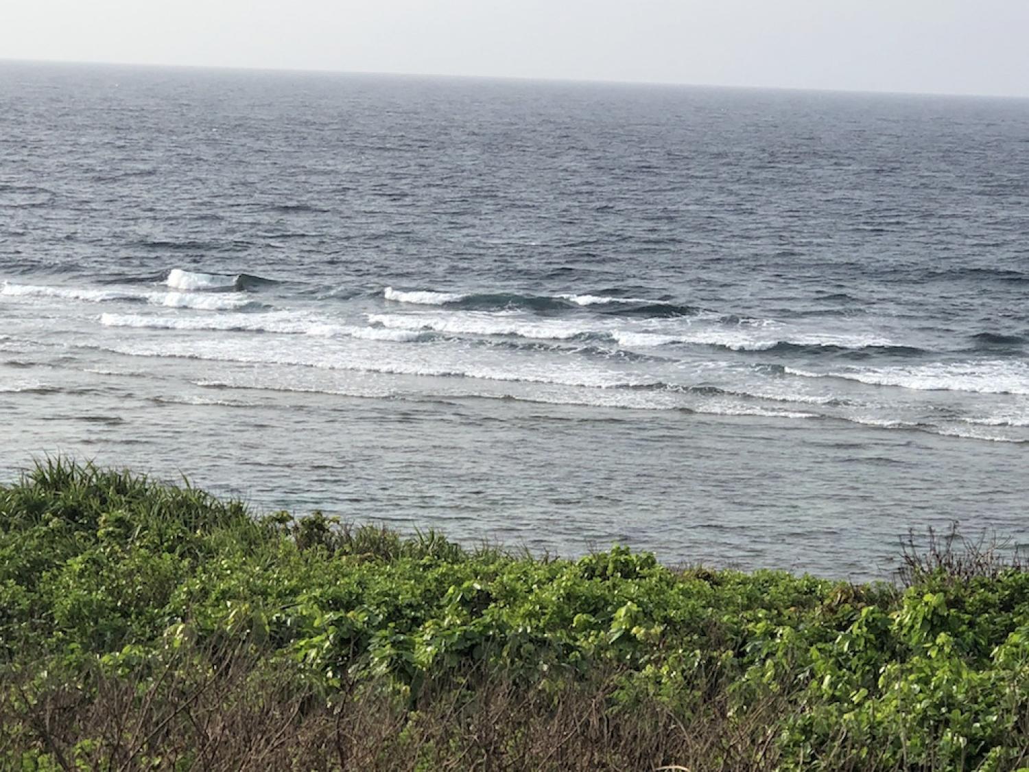 3th Aug suicide point wave information 2