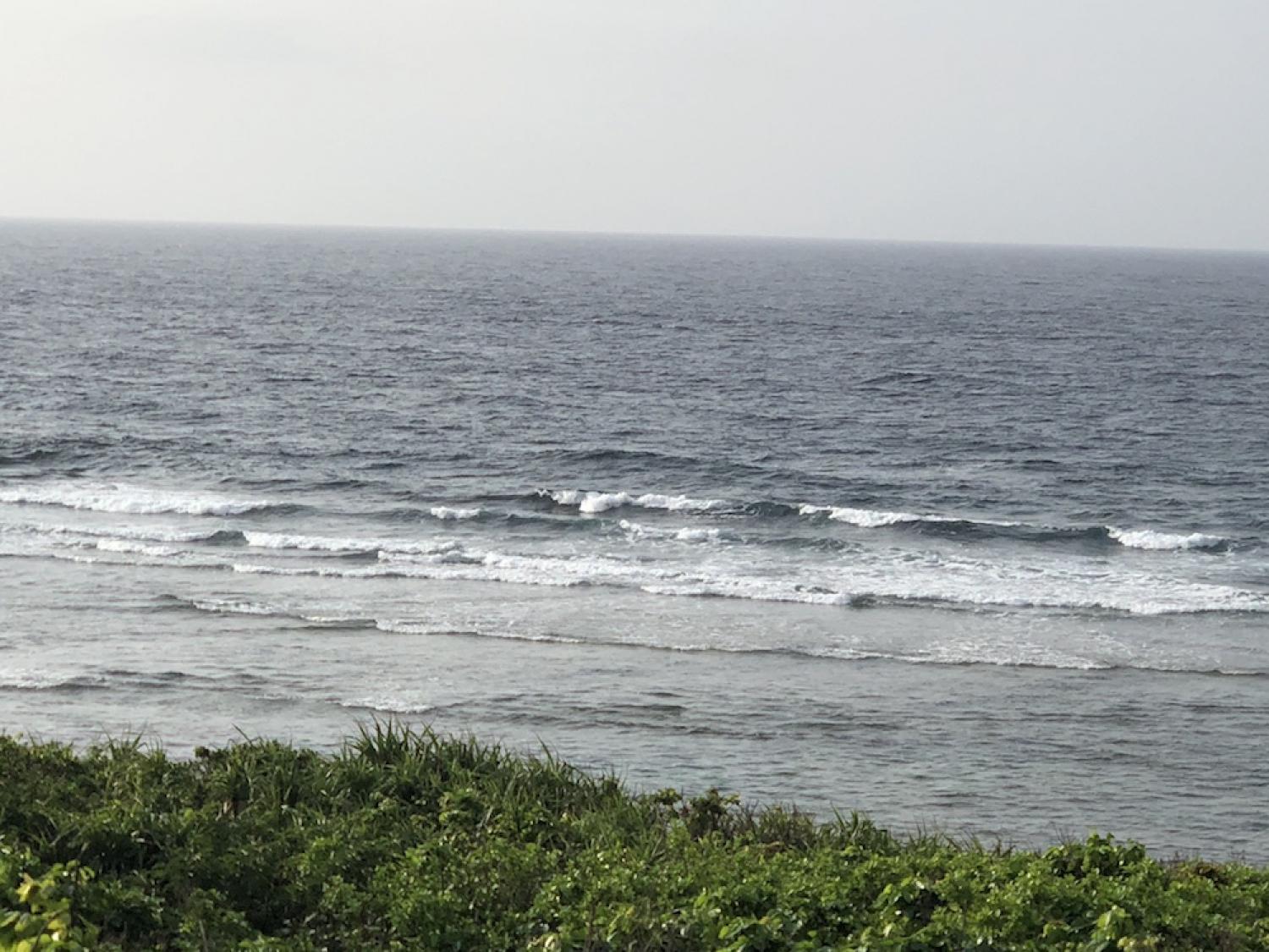 3th Aug suicide point wave information 3