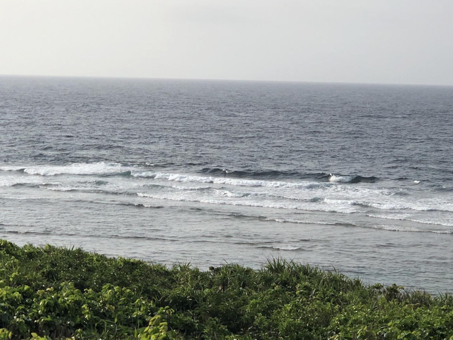 3th Aug suicide point wave information 4