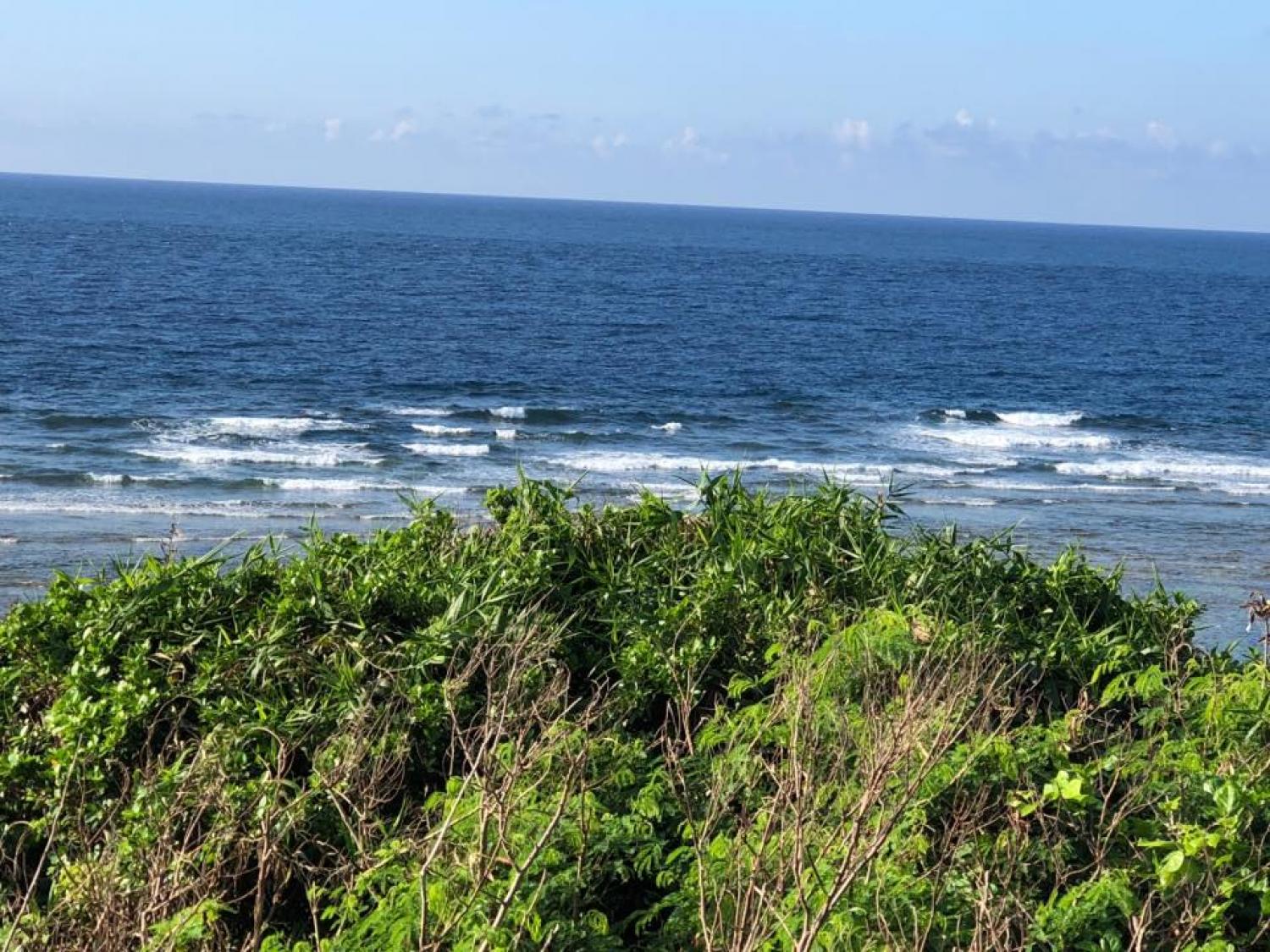 4th Aug suicide point wave information 1