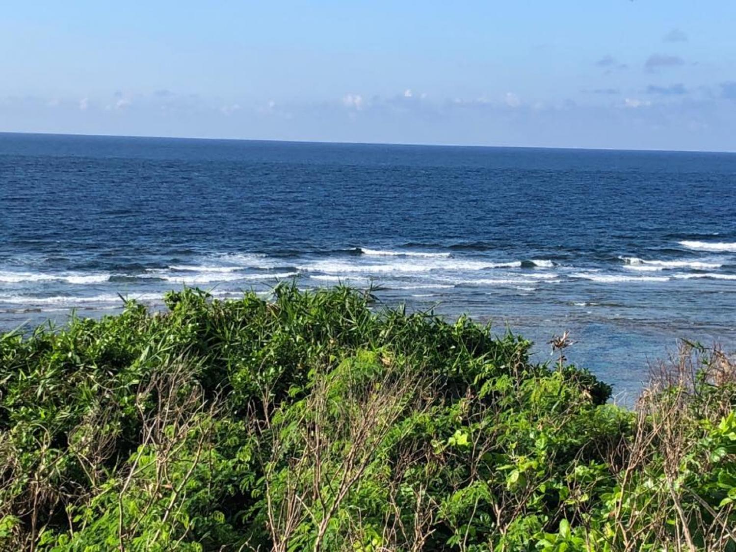 4th Aug suicide point wave information 2