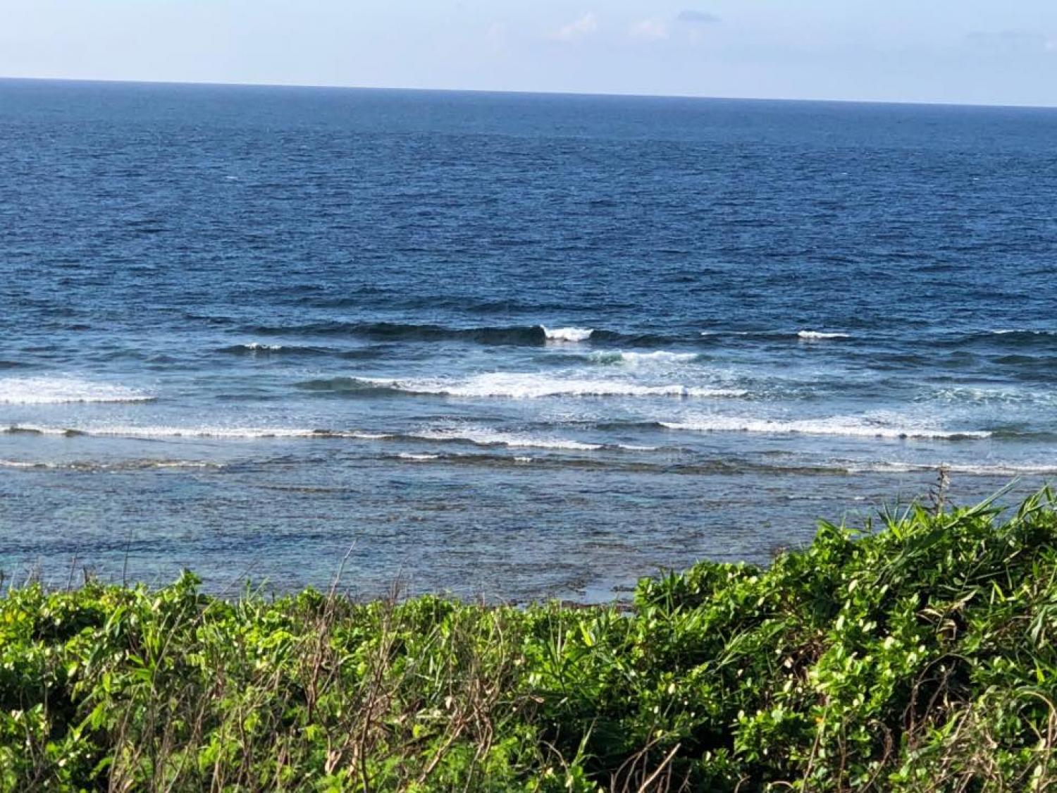 4th Aug suicide point wave information 3