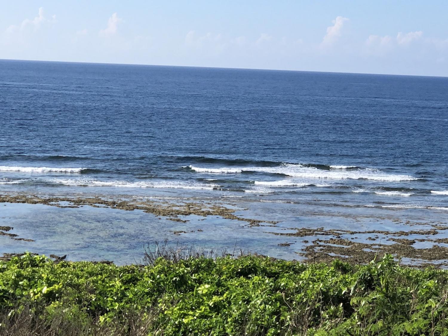 5th Aug suicide point wave information 1