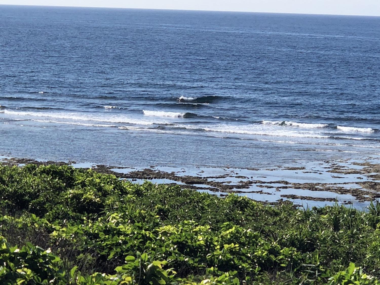5th Aug suicide point wave information 3