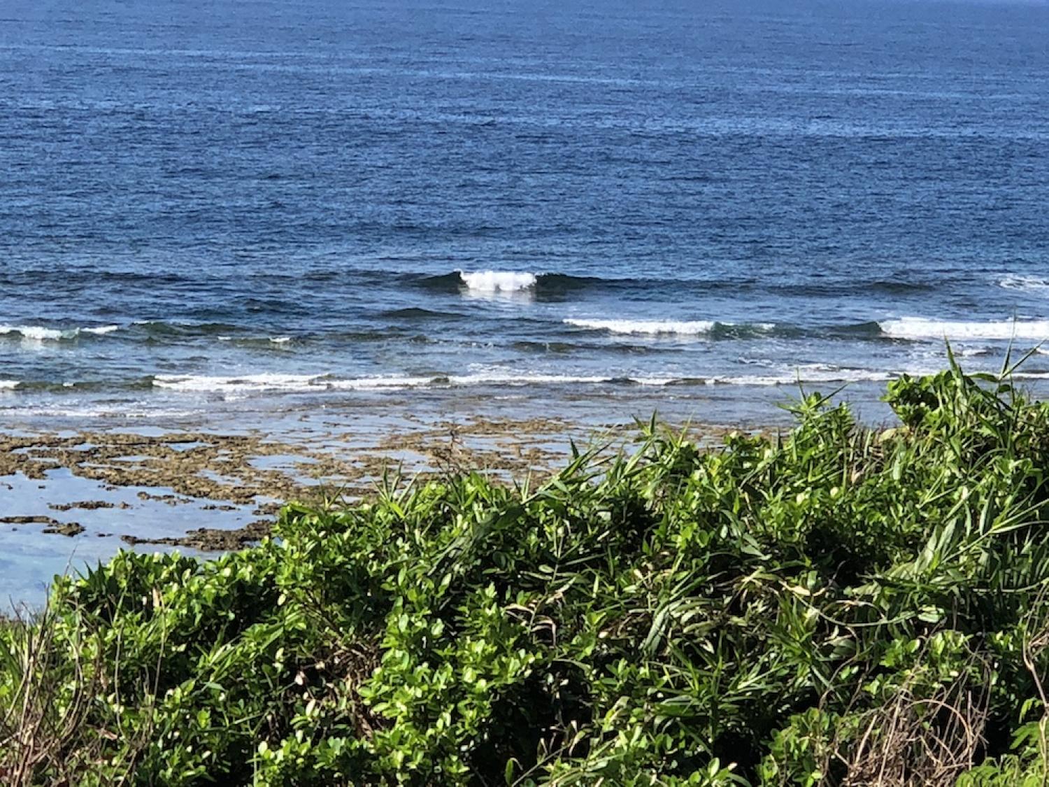5th Aug suicide point wave information 5