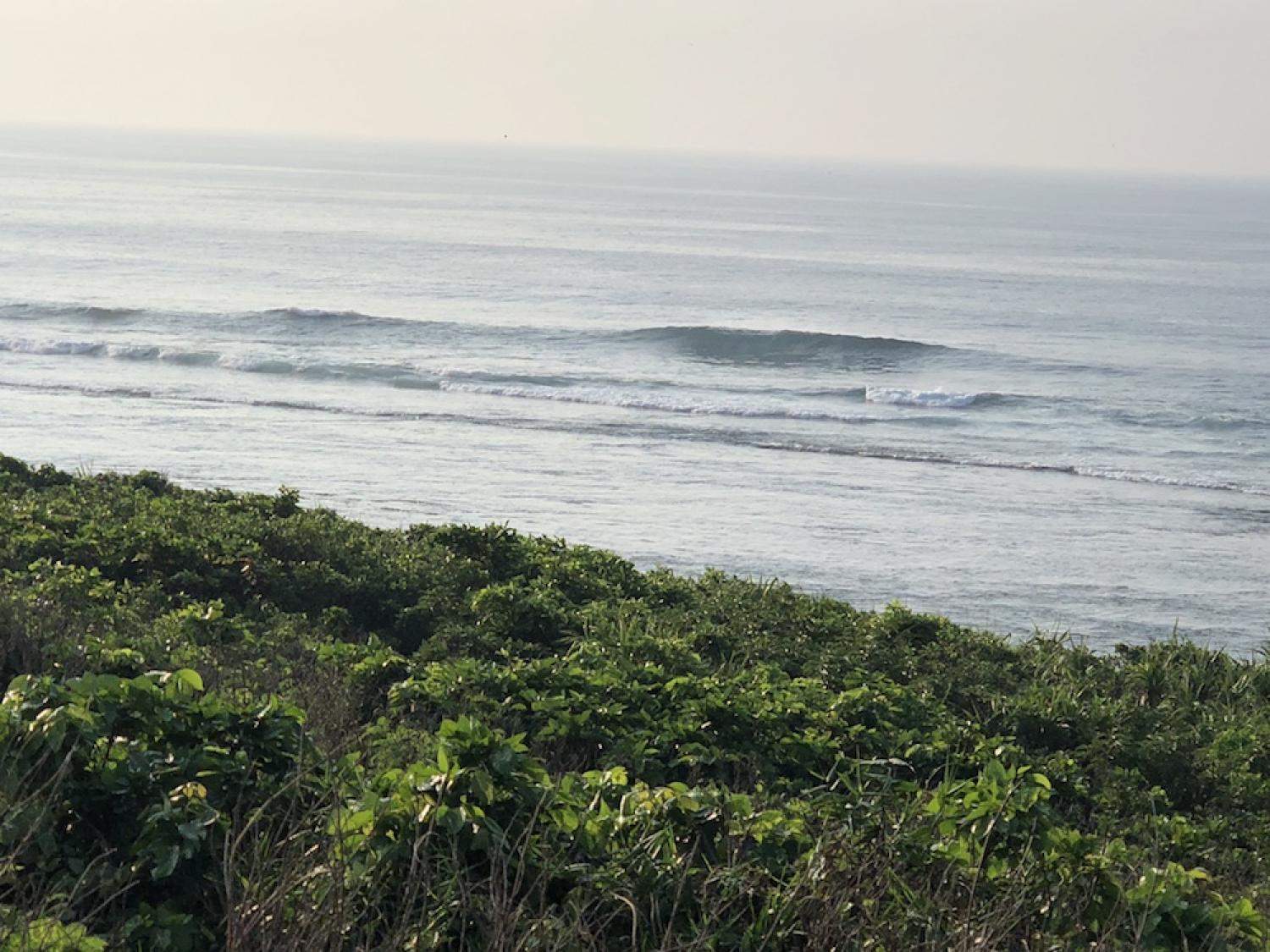8th Aug suicide point wave information 2