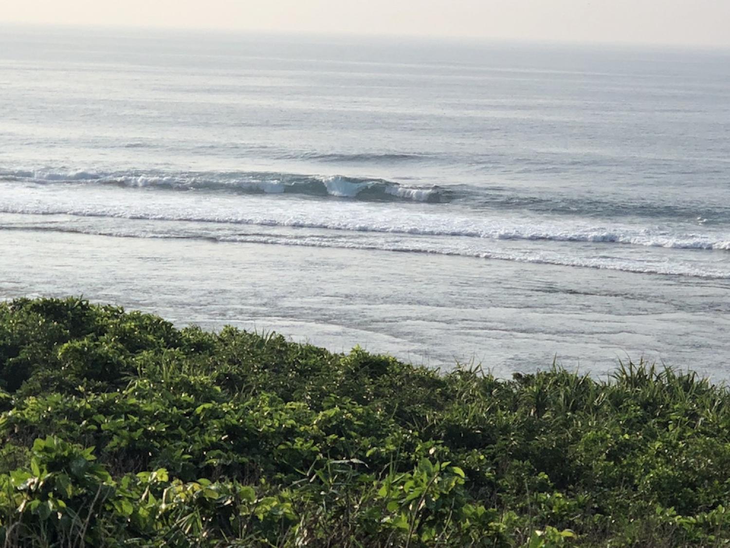 8th Aug suicide point wave information 3