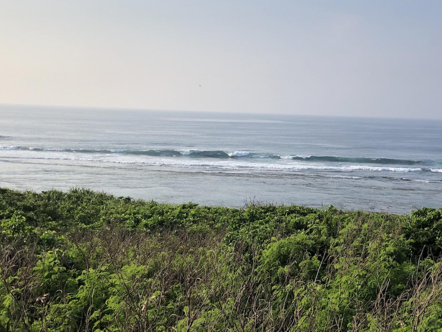 8th Aug suicide point wave information 4