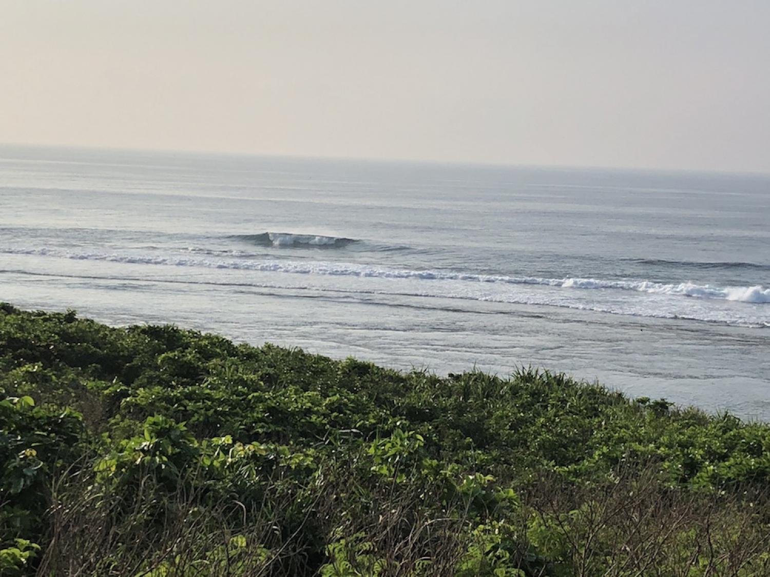 8th Aug suicide point wave information 5