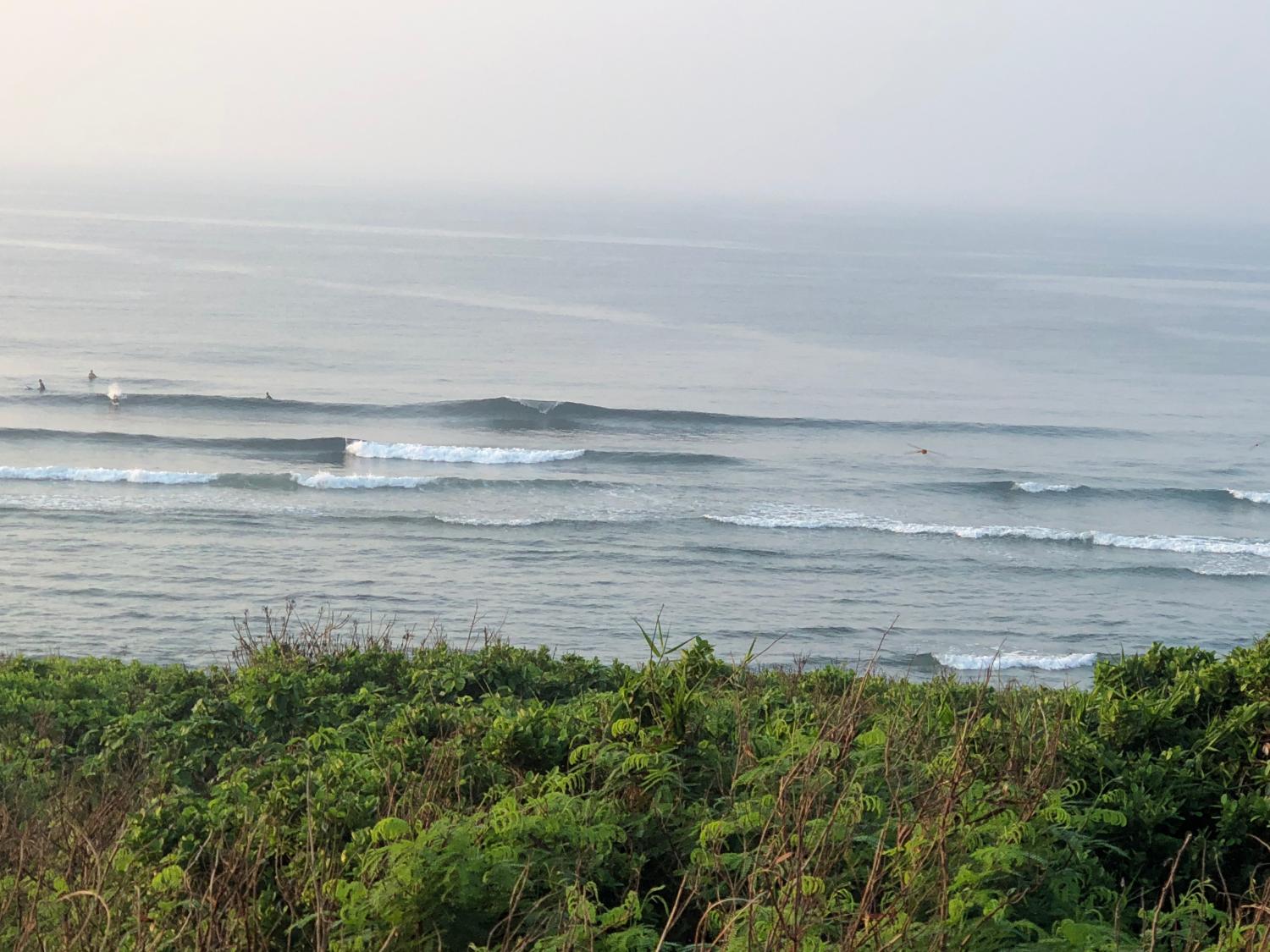 9th Aug suicide point wave information 2