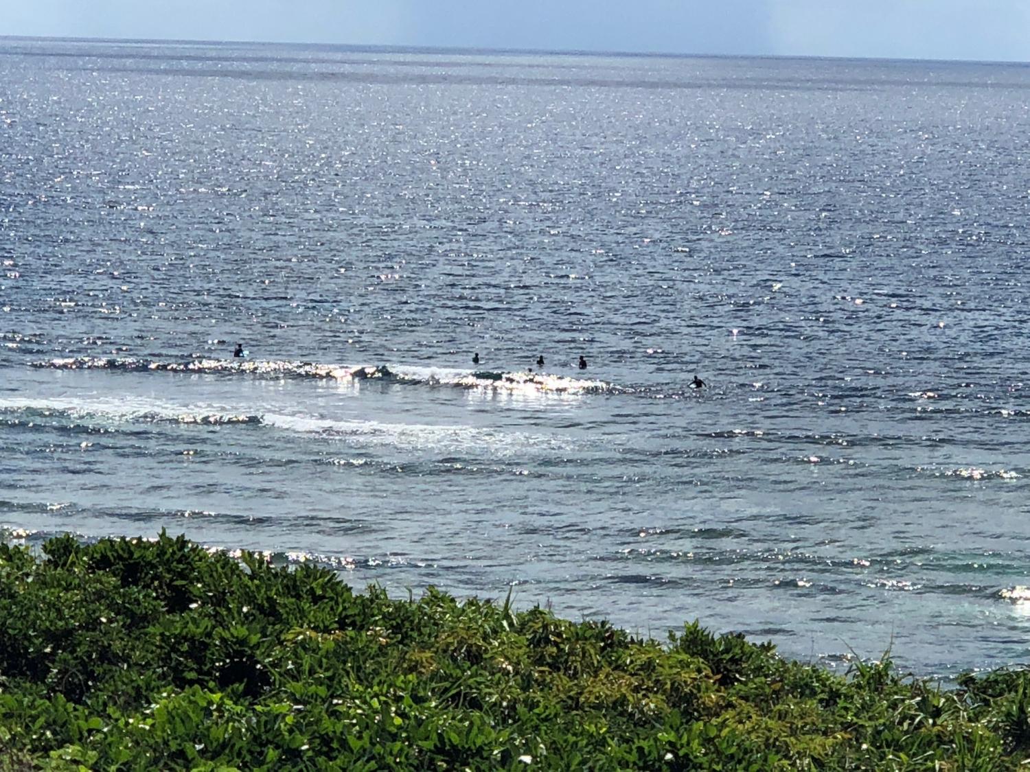 2018 aug 31 suicide point wave information 4