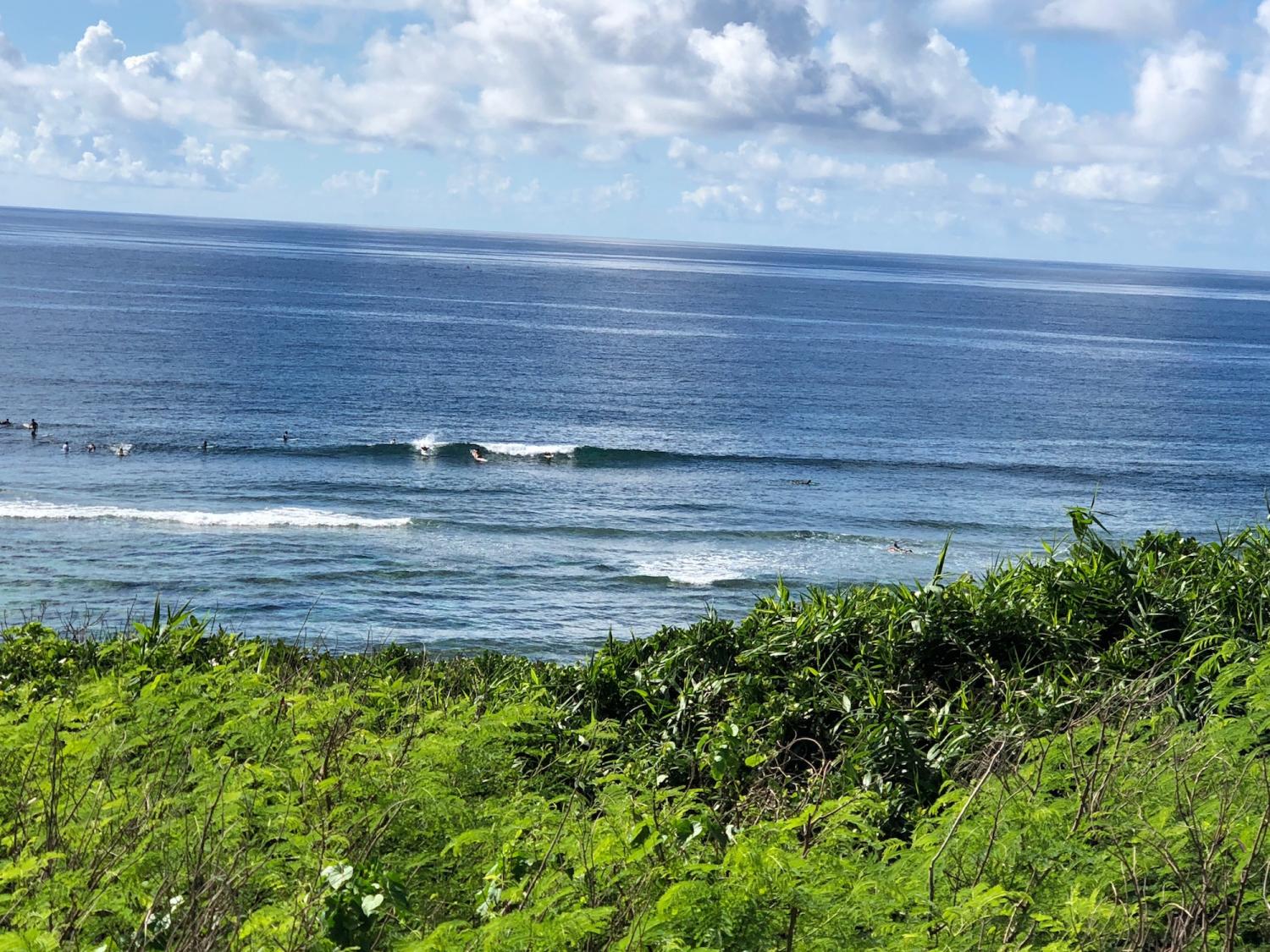 2018 sep 1 suicide point wave information 1