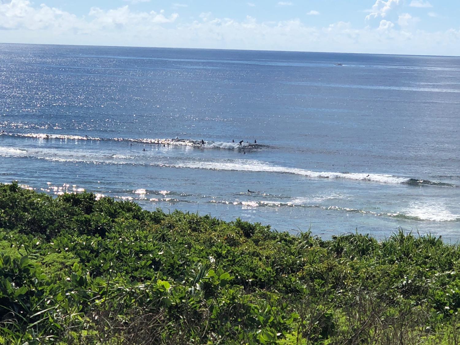 2018 sep 1 suicide point wave information 2