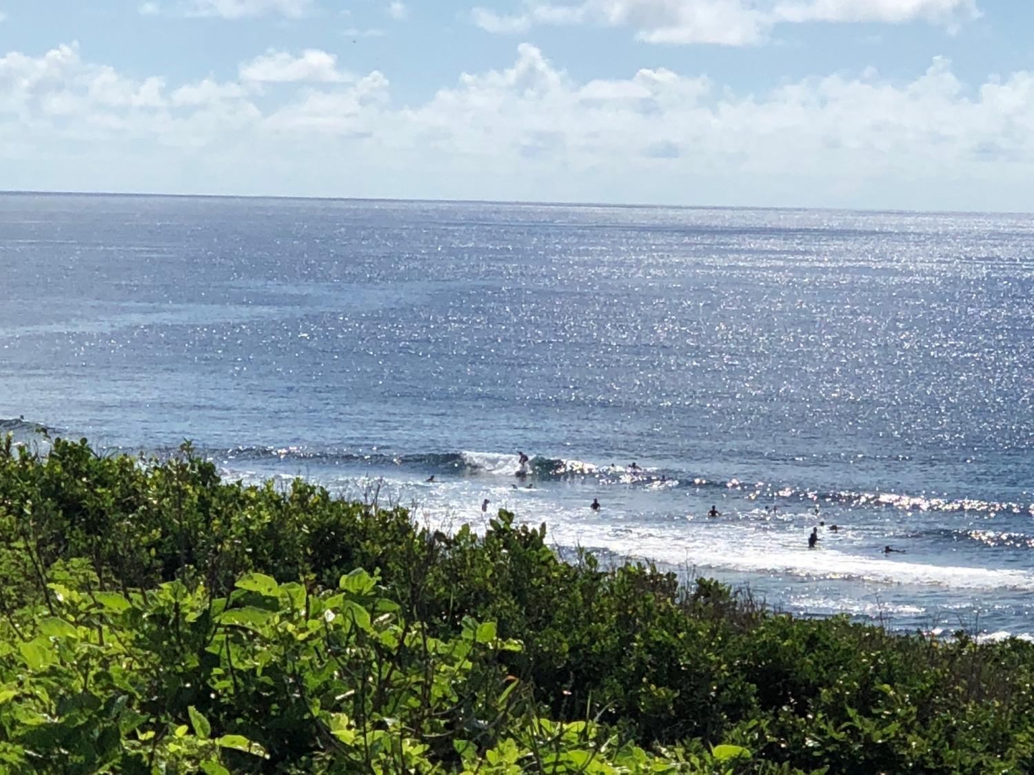 2018 sep 1 suicide point wave information 4