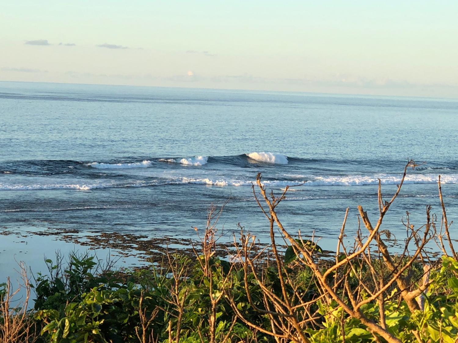 2018 sep 2 suicide point wave information 1