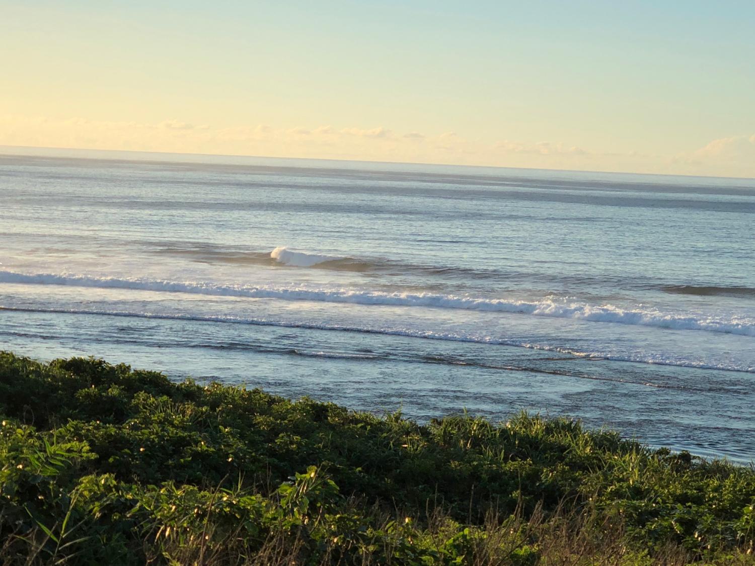 2018 sep 2 suicide point wave information 3