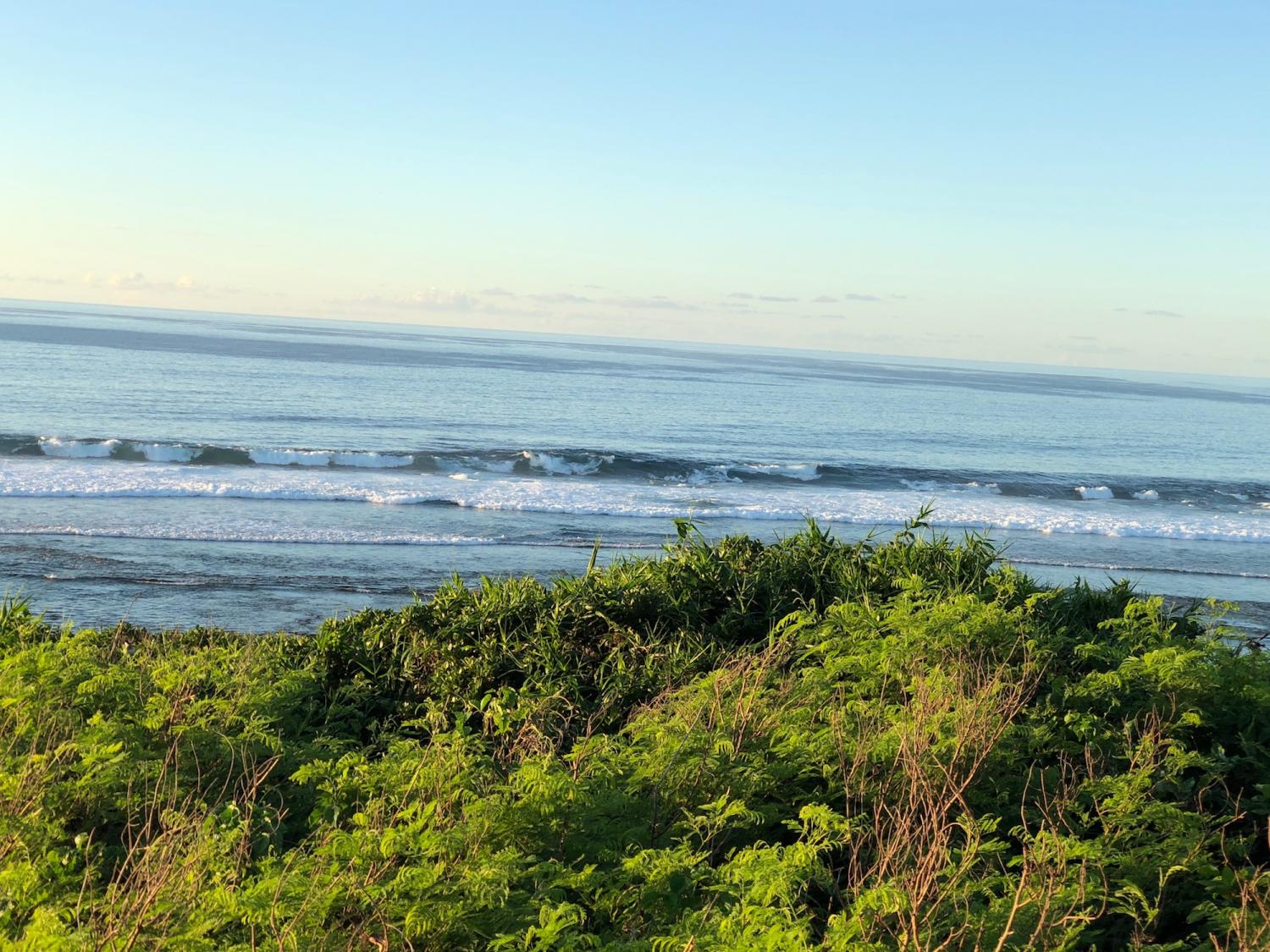 2018 sep 2 suicide point wave information 4