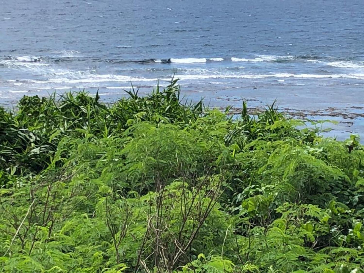 2018 sep 11 suicide point wave information 1